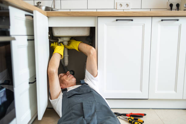 Best Same-Day Plumbing Service  in Questa, NM