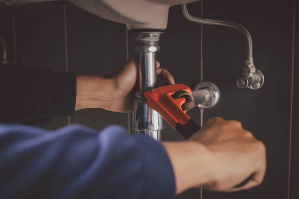 Best Clogged Drain Plumber  in Questa, NM
